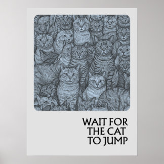 Überfüllte Katzen - Sprichwörter Poster