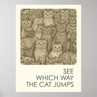 Überfüllte Katzen - Sprichwörter Poster