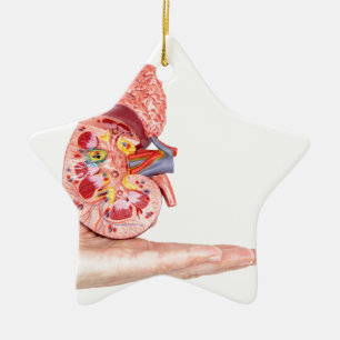 Übergeben Sie das Zeigen des Modells mit innerhal Keramik Ornament