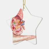 Übergeben Sie das Zeigen des Modells mit innerhalb Keramik Ornament (Links)