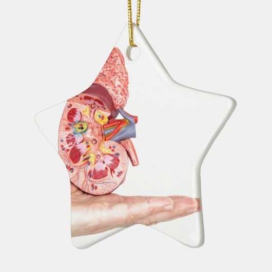 Übergeben Sie das Zeigen des Modells mit innerhalb Keramik Ornament (Links)