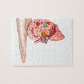 Übergeben Sie das Zeigen des Modells mit innerhalb Puzzle (Horizontal)