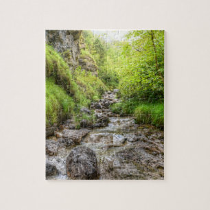 Übergewachsener Schwarzer Buchsensee Puzzle