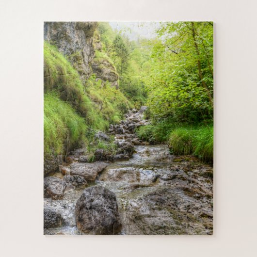 Übergewachsener Schwarzer Buchsensee Puzzle (Vertikal)