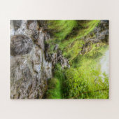 Übergewachsener Schwarzer Buchsensee Puzzle (Horizontal)