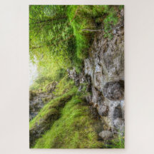 Übergewachsener Schwarzer Buchsensee