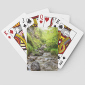 Übergewachsener Schwarzer Buchsensee Spielkarten (Rückseite)