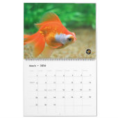Übergroßer GEDIEGENES GOLD Goldfisch-Kalender 2016 Kalender (Mär 2026)