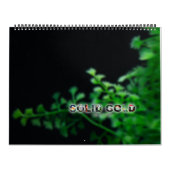 Übergroßer GEDIEGENES GOLD Goldfisch-Kalender 2016 Kalender (Titelbild)