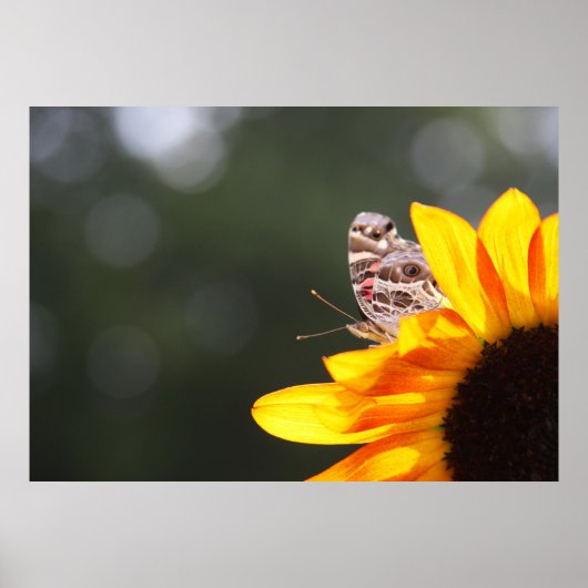 Überhauen Poster (Vorne)