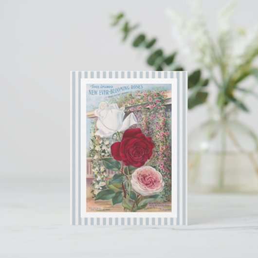 Überhaupt-Blühende Rosen-Vintage Kunst Postkarte (Stehend Vorderseite)