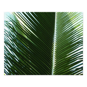 Überlappen von Palm Fronds Tropical Green Abstrakt Fotodruck