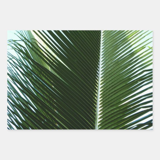 Überlappen von Palm Fronds Tropical Green Abstrakt Geschenkpapier Set (Vorderseite 2)