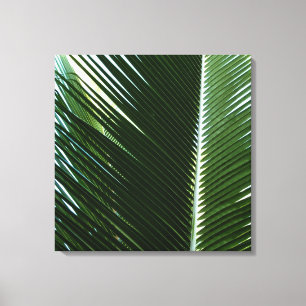 Überlappen von Palm Fronds Tropical Green Abstrakt Leinwanddruck