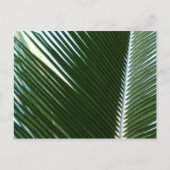 Überlappen von Palm Fronds Tropical Green Abstrakt Postkarte (Vorderseite)