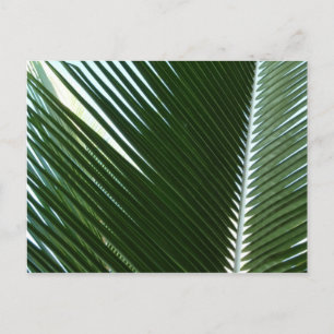 Überlappen von Palm Fronds Tropical Green Abstrakt Postkarte