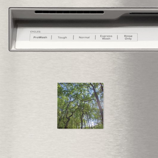 Überlappende Bäume Magnet (In Situ (Geschirrspüler))