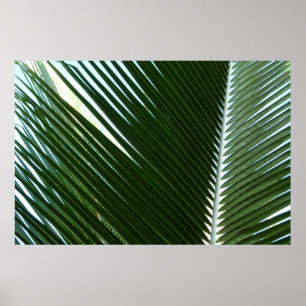 Überlappende Palmwedel Tropisches Grün Abstrakt Poster