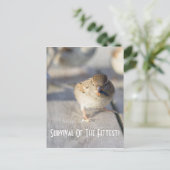 Überleben der fittesten Postkarte (Stehend Vorderseite)