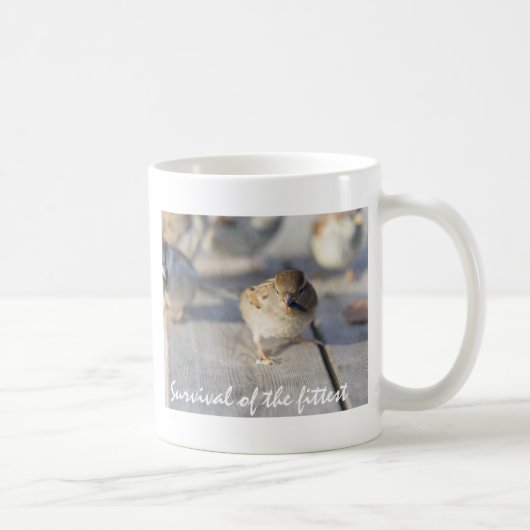 Überleben des Prüfkörpers Kaffeetasse (Rechts)