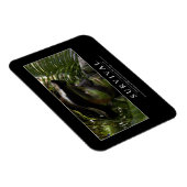 Überleben: Inspirationsangebot 2 Magnet (Rechte Seite)