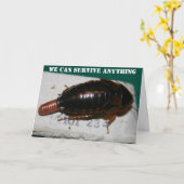 Überleben Sie Jenseits der Kakerlaken Karte (Gelbe Blume)