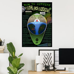 Überleben von DISClosure Poster