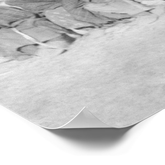 Überlebende Mitglieder der Big Foot Band Poster (Ecke)