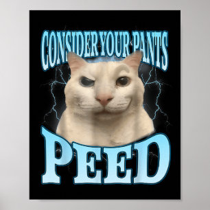 Überlege dir, deine Hose hat lustig gepinkelt Frea Poster