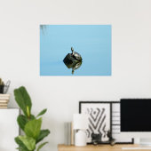 Überlegungen des Frühjahrs (Schildkröte) Poster (Heimbüro)