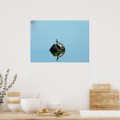 Überlegungen des Frühjahrs (Schildkröte) Poster (Küche)