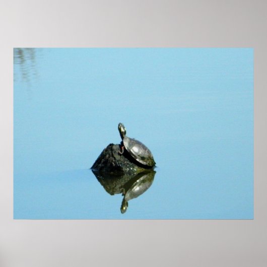 Überlegungen des Frühjahrs (Schildkröte) Poster (Vorne)