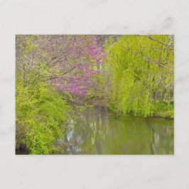 Überlegungen in der Natur Postkarte