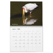 Überlegungen zum 12-monatigen Wasserkalender Kalender (Mär 2026)