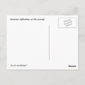 Überlegungen zum Herbst-Sumpf Postkarte (Rückseite)