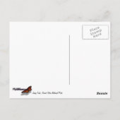 Überlegungen zum Jenny Lake I Postkarte (Rückseite)