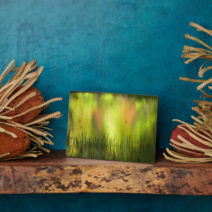 Überlegungen zum Mirror Lake   Yosemite Fotoplatte