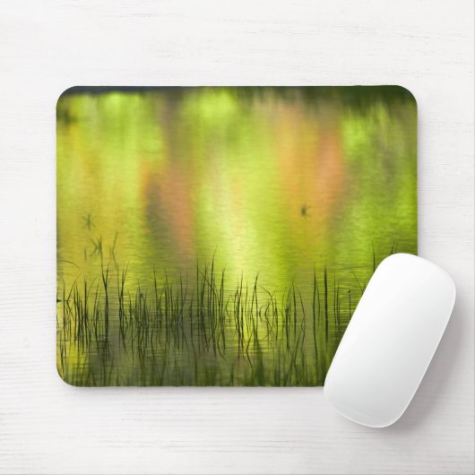 Überlegungen zum Mirror Lake | Yosemite Mousepad (Mit Mouse)