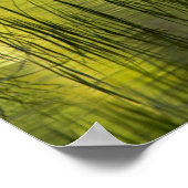 Überlegungen zum Mirror Lake | Yosemite Poster (Ecke)