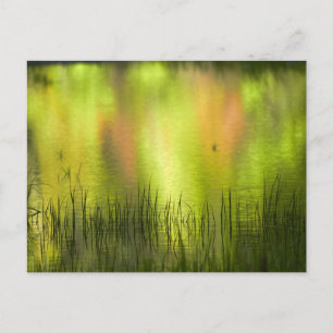 Überlegungen zum Mirror Lake   Yosemite Postkarte