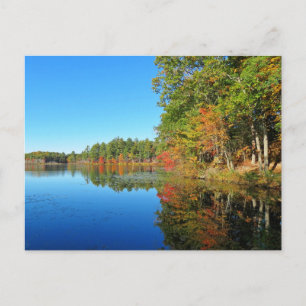 Überlegungen zum Whitney Pond Postkarte