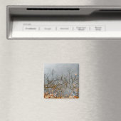 Überlegungen zur Herbstzeitschrift Magnet (In Situ (Geschirrspüler))