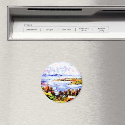 Überlingen( Bodensee ) Magnet (In Situ (Geschirrspüler))