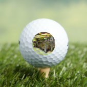 Übernahme des Besitzes von Ausschreibungen Golfball (Insitu T-Shirt)