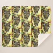 Übernahme des Besitzes von Ausschreibungen Sherpadecke (Vorderseite (Horizontal))