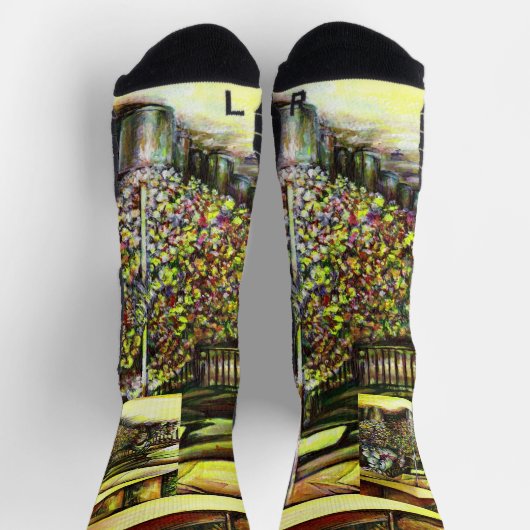 Übernahme des Besitzes von Ausschreibungen Socken (Oben)