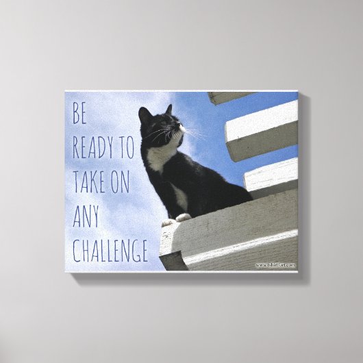 Übernehmen Sie die Niedliche Cat-Motivation der We Leinwanddruck (Vorderseite)