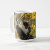 Überprüfen Sie die Herbstfarben durch djoneill Kaffeetasse (Vorderseite Links)