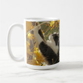 Überprüfen Sie die Herbstfarben durch djoneill Kaffeetasse (Links)
