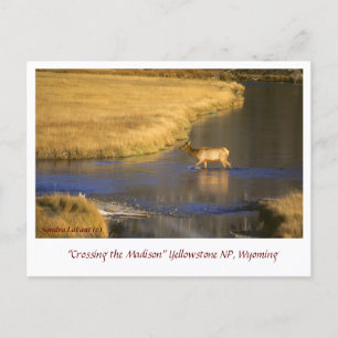 Überqueren der Postkarte des Madison